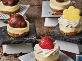 turnkey established edible arrangements